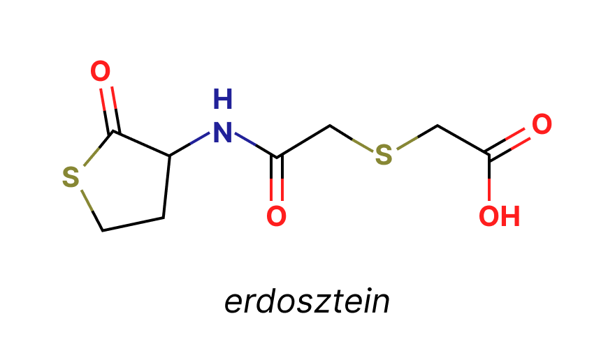 erdosztein.png